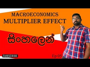 Multiplier Effect - Macroeconomics - Lesson 4 - සිංහල