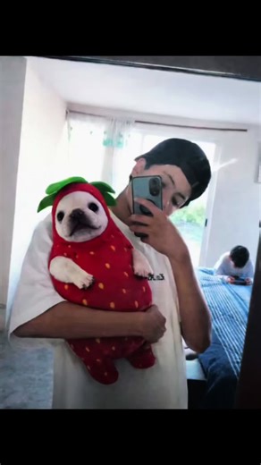 como poner un pibble en tu foto como hacer foto con pibble como poner un pibble en tu foto de perfil como crear una imagen con pibble como hacer foto de pibble ia como hacer foto de pibble fresa ia como hacer foto con el pibble ia como hacer foto de pibble videos fotos con pibble como hacer fotos con pibble fresa como hacer una foto con un pibble como hacer una foto con un pibble con ia como hacer una foto con un pibble dog como hacer una foto con un pibble bebe con ia Cómo hacer una foto con un