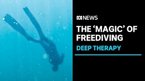 Freediving embraced by growing number of Australians as it unlocks mental health benefits | ABC News - The Global Herald