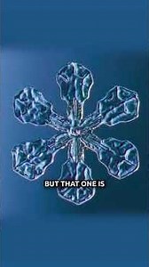 Fractals Reveal the Architecture of Reality