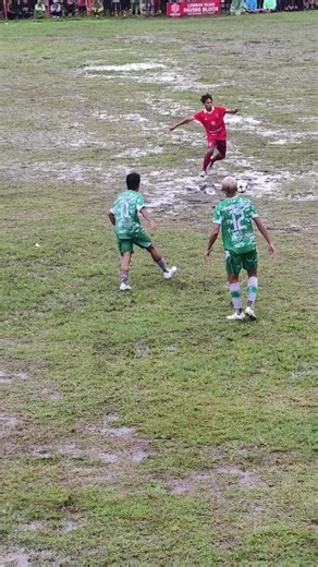 Aksi Heroik King Polo di Lapangan Sepak Bola