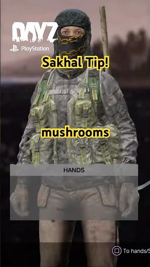 Ultimate Beginners Survival on Sakhal #dayz #survivalgame