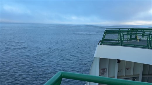 1.3K views · 13 reactions | Patrick Mead on Reels | Facebook