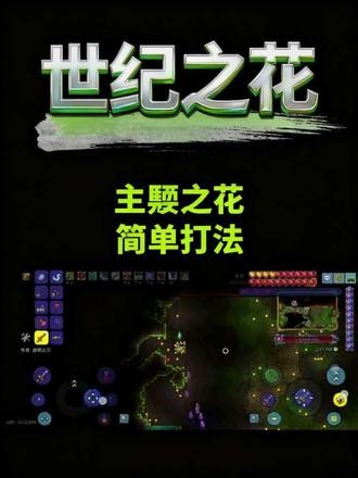 世纪之花打法 滴个手游搭子➕➕➕➕#泰拉瑞亚