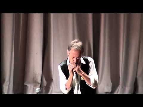 Le Meteque - Harmonica Live-Performance by harproli
