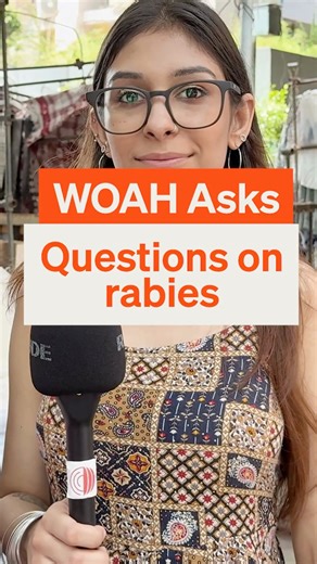 Test your knowledge: rabies edition. 🐕 🐕 How many people die from rabies worldwide annually? 59, 000 people or about 1 person every 9 minutes 🐕 What percentage of human rabies cases come from dogs? 99% of human cases are due to bites from infected dogs 🐕 True or false: only stray dogs can get rabies. �False. All free roaming or domestic mammals like dogs, cats, livestock and wildlife can become infected with and transmit rabies. 🐕 How do you think people get rabies? �Rabies spreads through 