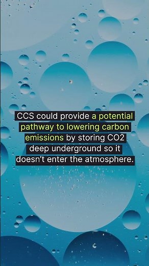 The Future of Carbon Capture