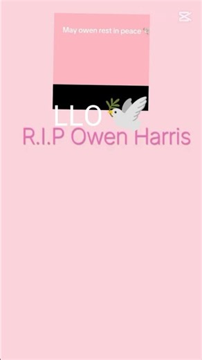 fly high Owen🕊️‪@Owen‬ ‪@Crash‬