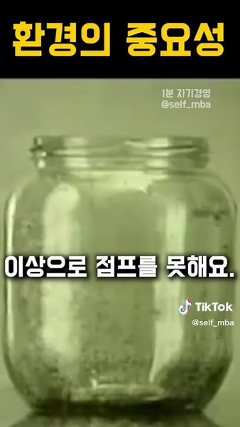 ‘환경의 중요성’ #동기부여 #자기계발 #마인드셋 #동기부여영상 #자기계발영상 #환경 #친구 #가족