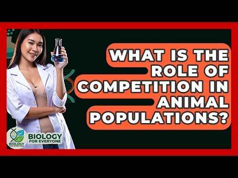What Is The Role Of Competition In Animal Populations? - Biology For Everyone
