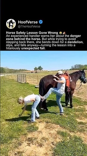 She Avoided the Kick Zone… Then Fell Anyway 😂🐎 #shorts
