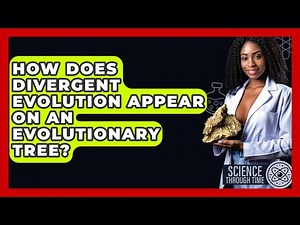 How Does Divergent Evolution Appear On An Evolutionary Tree? - Science Through Time