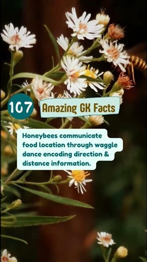 107 Amazing Fun Facts for Students #shorts #sciencefacts