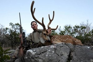 Five New Deer Loads in 6.5 Creedmoor - Petersen's Hunting