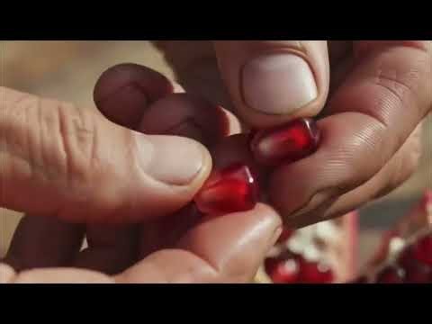From Seed to Fruit Tree | Ultra Realistic Time-Lapse Garden Growth in 8K HDR#viarl#timelase#shortvir