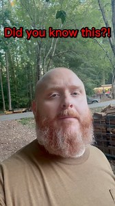 Did you know this about #beech #trees #learn #knowledge #information #firewood | Foothills Firewood