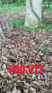 Is it a Pro V1 in the woods? Jumped out of my cart for this one 🤣 #golf #golfer #golfing #golftiktok #golftok | Is It A Pro V1
