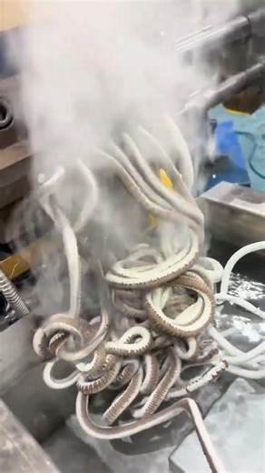 Extrusion molding process of twin screw granulator for livestock and poultry feed pellets