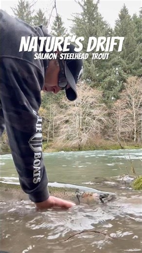 🥊 Final Round 🎣 Steelhead #fishing #washington #troutfishing #carp steelheadfishing