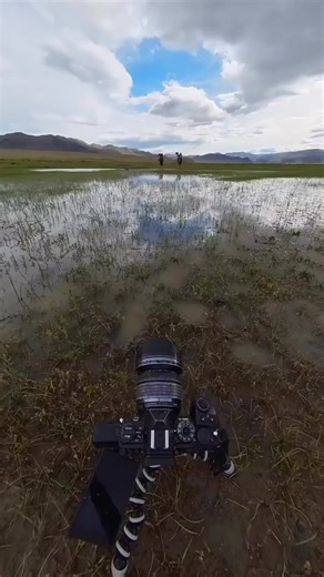 Inner Mongolia views #innermongolia #leatherproducts #armor #goldenfamily