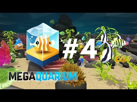 THE CORAL REEF - Megaquarium (#4)