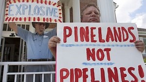 NJNG Pinelands pipeline hit with turtle questions