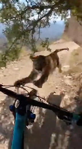 POV: You're riding when THIS happens 😲 #mtb #adrenaline #shorts