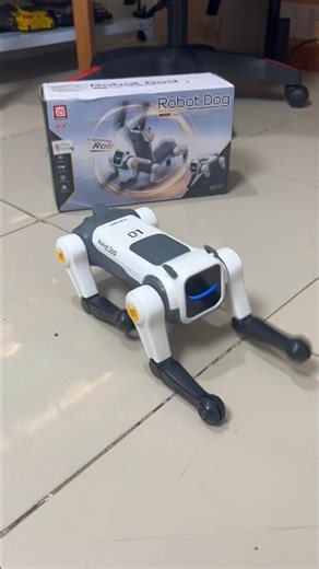 Cheap price remote control robot dog good quality #youtubeshopping #fyp #robotdog #aumobile