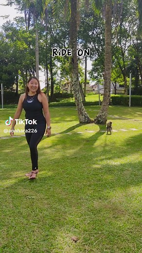 Monkey Mating Poses and Wildlife Vibes