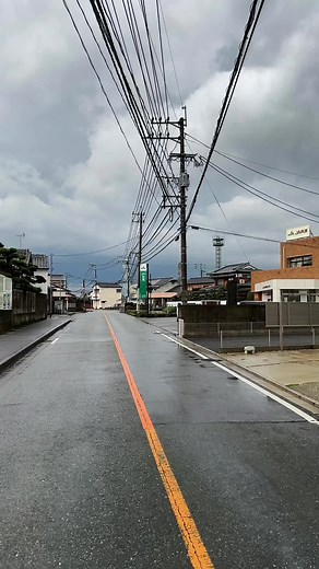 #博多っ子純情 #チューリップ 懐かしっ🎼