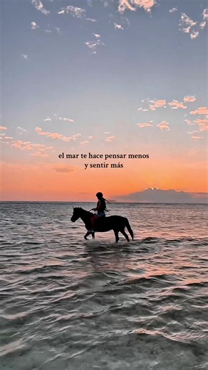 Exploring Trawangan: A Travel Guide to Paradise