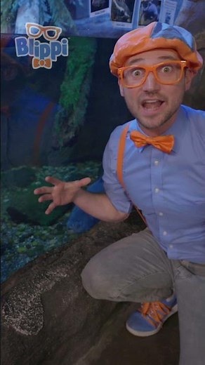 Aquarium of Boise
