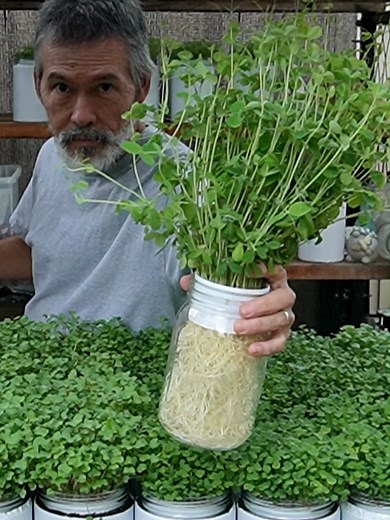 Grow Food Fast: Quick Gardening Tips