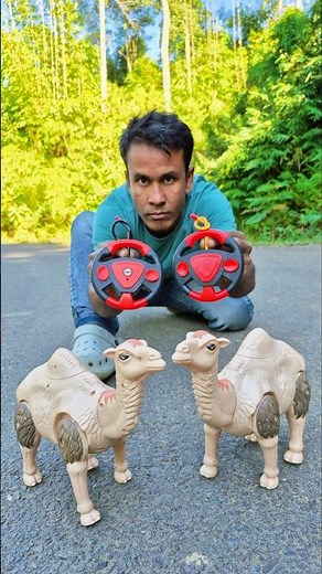 remote Control dancing 2 to camel 🐫review #shorts