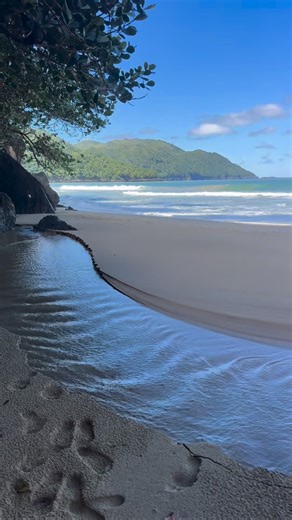 Jefri De León 🌴 on Instagram: "El Rio más corto de RD 🇩🇴 Es un manantial que brota de las rocas en Playa el Valle , Samana, creando un autentico paraiso natural, entre playa/ montaña , agua dulce y agua salada. #rd #nature #aventura #turismord #republicadominicana"