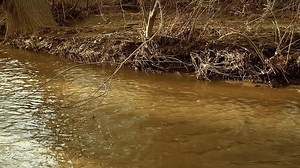 Mega.Piranha.2010.720p.BluRay.x264