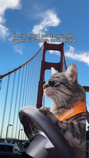 Sai quella felicità che senti solo in certi posti? ❤️🌉 Ecco, attraversare il Golden Gate Bridge fa proprio lo stesso effetto: qualunque sia il tuo mood iniziale, appena superi quelle iconiche torri rosse senti crescere un’energia speciale. È una combinazione di vento dell’oceano, skyline di San Francisco | The Official Guide e quella magia difficile da spiegare, ma facilissima da riconoscere. 💬 Se dovessi descrivere San Francisco con un'unica parola, quale sarebbe? 👉 Scopri altre curiosità qu