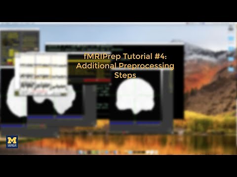 fMRIPrep Tutorial #4: Additional Preprocessing