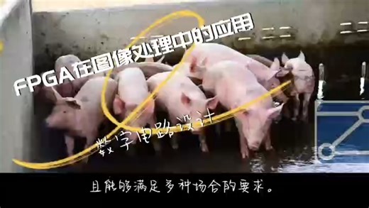 FPGA在图像处理中的应用