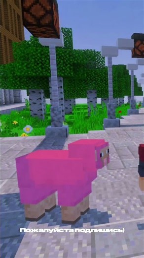 Когда главная звезда видео розовая овца ✨ #minecraft #майнкрафт #розоваяовца #овца #экспонат #fyp