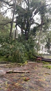 5.8K views · 82 reactions | VIDEO: Damage caused by Tropical Storm...