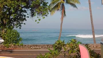 Honl's Surf Report, Surf Forecast and Surf Cam - Surfline