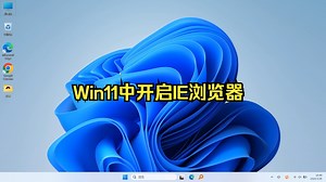 Win11中开启IE浏览器_哔哩哔哩_bilibili