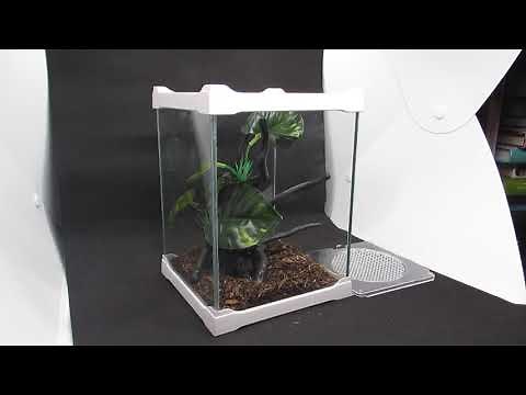 Praying Mantis Enclosure, Tank Setup