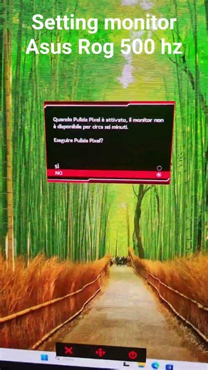 Setting monitor Asus Rog 500 hz