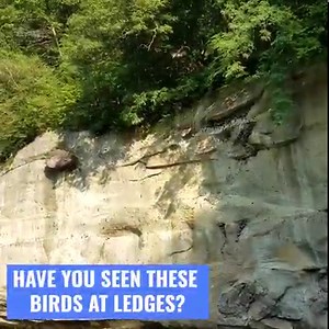8.4K views · 240 reactions | The next time you drive through Canyon...