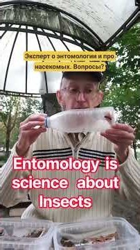 Why friends of the Entomologist are moths, butterflies, roaches, bees, wasps and hornets?