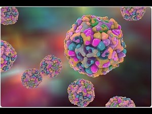 Microbiology Lecture 4 - Enteroviruses.