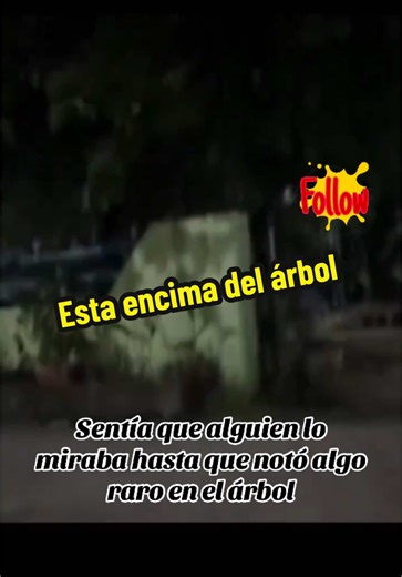 Mira bien a tu al rededor, alguien podría estarte observando 💀 #miedo #terror #paranormal #horror #sobrenatural #creepy