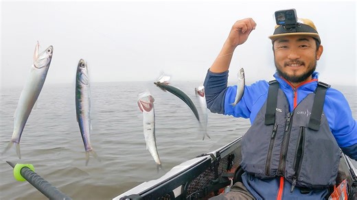 Fresh caught anchovies are delicious